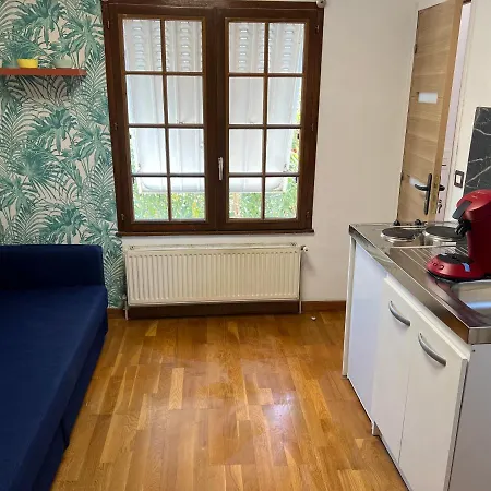 Duplex 1 Appartement Choisy-le-Roi Buitenkant foto